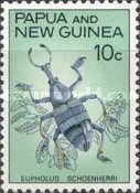 Azure Weevil Beetle (Eupholus schoenherri)