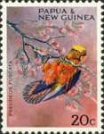 Dusky Lory (Pseudeos fuscata)