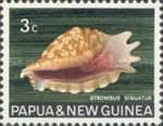 Lacinate Conch (Strombus sinuatus)