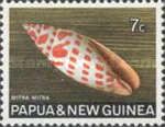 Episcopal Mitre (Mitra mitra)