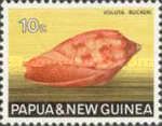 Blood-red Volute (Voluta ruckeri)