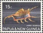 Scorpion Spider Conch (Lambis scorpius)