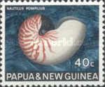 Chambered Nautilus (Nautilus pompilius)
