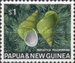 Emerald Green Snail (Papulstyla pulcherrima)