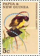 King-of-Saxony Bird-of-paradise (Pteridophora alberti)
