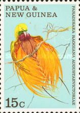 Raggiana Bird-of-paradise (Paradisaea raggiana augustaevicto