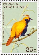 Crested Satinbird (Cnemophilus macgregorii)