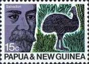 Graf T. Salvadori (1835-1923), Dwarf Cassowary (Casuarius be