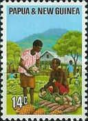 Vegetable Market