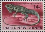 Angle-headed Agama (Goniocephalus godeffroyi)