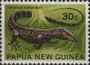 Crocodile Monitor (Varanus salvadori)