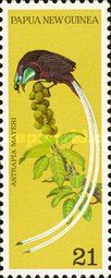 Ribbon-tailed Astrapia (Astrapia mayeri)
