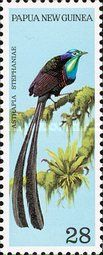 Stephanie's Astrapia (Astrapia stephaniae)