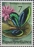 Queen Alexandra's Birdwing (Ornithoptera alexandrae)