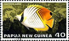 Threadfin Butterflyfish (Chaetodon auriga)