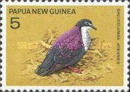 White-bibbed Ground Dove (Gallicolumba jobiensiss)