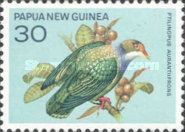 Orange-fronted Fruit-dove (Ptilinopus aurantiifrons)