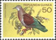 Zoe's Imperial-Pigeon (Ducula zoeae)