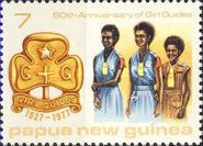 Guides and Gold Badge