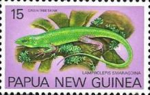 Green Tree Skink (Lamprolepis smaragdina)