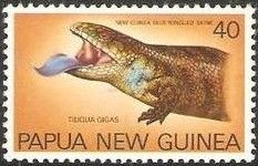 New Guinea Blue-tongued Skink (Tiliqua gigas)