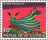 Sea Slug (Roboastra arika)