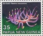 Sea Slug (Flabellina macassarana)