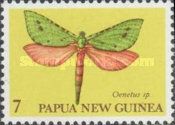 Oenetus sp.