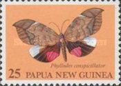 Phyllodes conspicillator