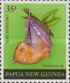 Common Tube-nosed Fruit Bat (Nyctimene albiventer)