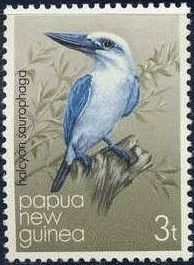 Beach Kingfisher (Halcyon saurophaga)