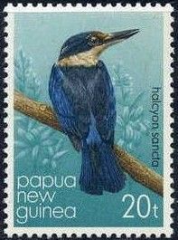 Sacred Kingfisher (Halcyon sancta)