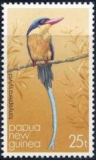 Buff-breasted Paradise-Kingfisher (Tanysiptera sylvia)