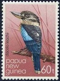 Blue-winged Kookaburra (Dacelo leachii)