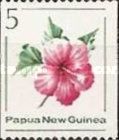 Chinese Hibiscus (Hibiscus rosa-sinensis)