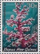 Carnation Tree Coral (Dendronephthya sp.)