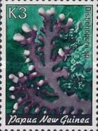 Lace Coral (Distichopora sp.)