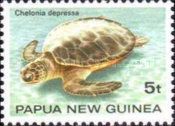 Australian Flatback Turtle (Chelonia depressa)