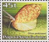 Parkinson's Olive (Oliva parkinsoni)