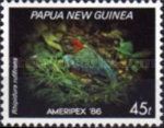 Blue-breasted Pitta (Rhipidura rufifrons) (see Description)