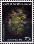 Olive-yellow Robin (Poecilodryas placens)