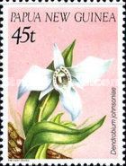 Dendrobium johnsoniae