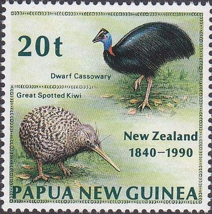 Dwarf Cassowary (Casuarius bennetti), Great Spotted Kiwi