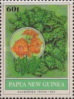 Kerosene Tree (Cordia subcordata)