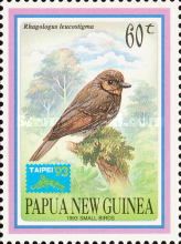 Mottled Whistler (Rhagologus leucostigma) - overprinted