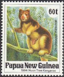 Huon Tree Kangaroo (Dendrolagus matschiei) - female & young