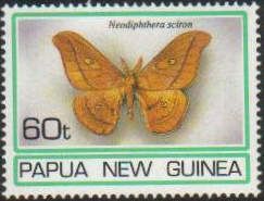 Neodiphtera sciron