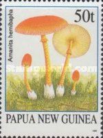 Half-dyed Slender Caesar (Amanita hemibapha)