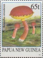 Shaggy Cap (Boletellus emodensis)