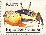 Tetragonal Fiddler Crab (Uca tetragonon)